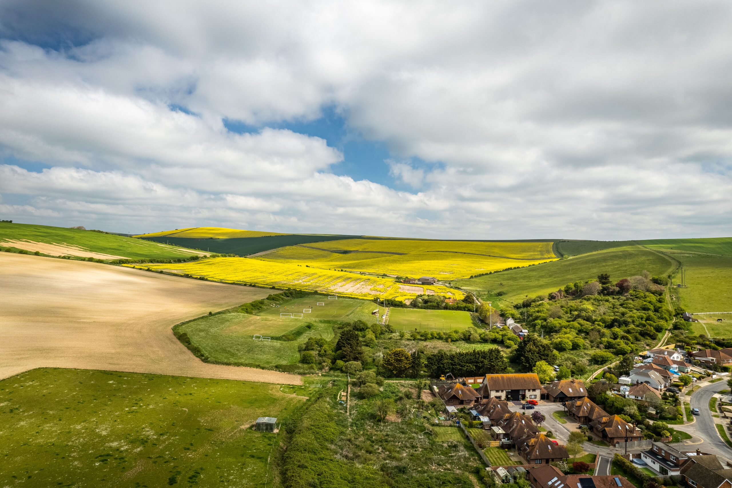 Stop the Scroll Why You Need Social Media Video Ads in Hampshire